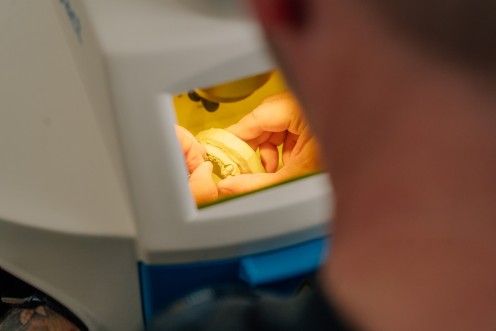 nahaufnahme zahntechnik arbeit