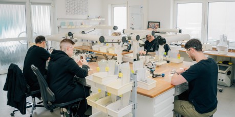 Betriebsurlaub zu Weihnachten